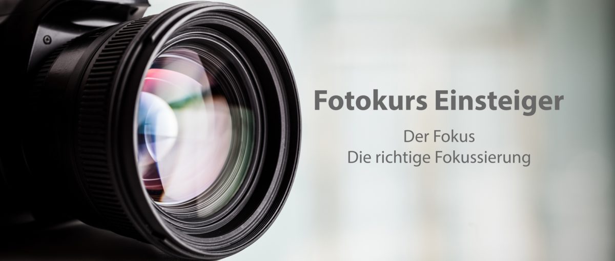 Fotokurs Einsteiger der Fokus richtige Fokussierung